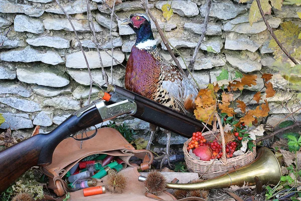 hunting composition with pheasant