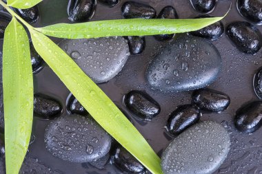 Spa konsept masaj taşlarla 