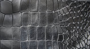 siyah sürüngen deri arka plan