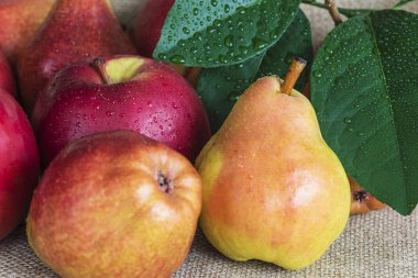 taze armut ve elma ile su damlaları