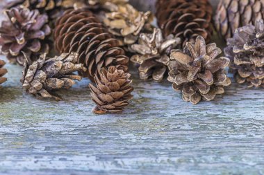 rustik arka plan üzerinde çeşitli çam kozalakları