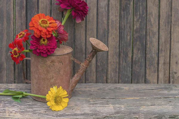 rustik arka plan üzerinde eski bir sulama olabilir çok renkli çiçek buketi