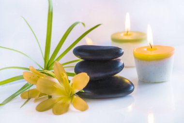 Siyah masaj taşlar, kırmızı çiçekli güzel spa compostion 