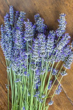Buket lavanta çiçek ahşap arka plan üzerinde