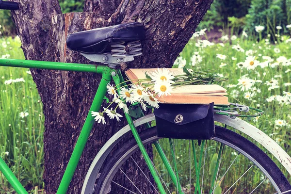 summer concept/bycicle, old book and bouquet of white daisy flow