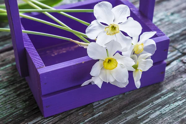 Bouquet of white narcissus flowers and purple wooden box