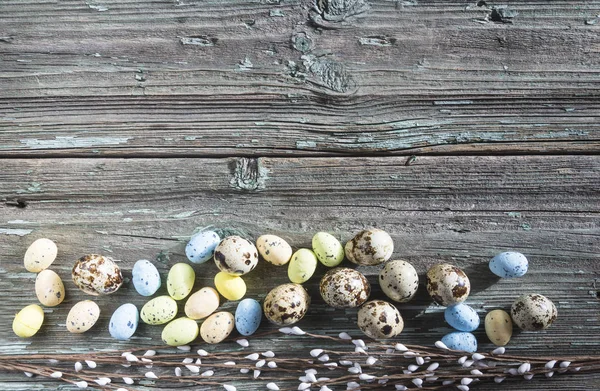 Composición de vacaciones de Pascua. Huevos de codorniz y ramitas de sauce — Foto de Stock