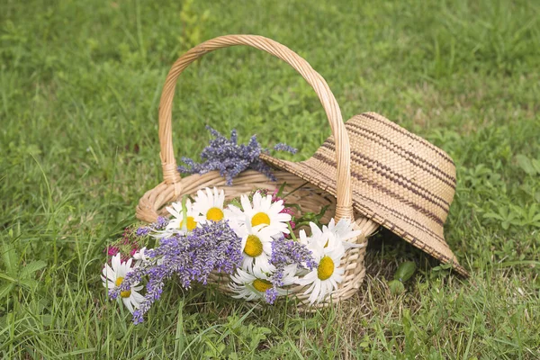 Bouquet Camomilles Blanches Lavandes Dans Panier Osier Chapeau Paille — Photo