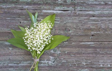 Vadideki güzel zambak buketi Eski boyanmış ahşap ba