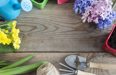 Bahar bahçıvanı konsepti. Sarı astarlı eski ahşap zemin