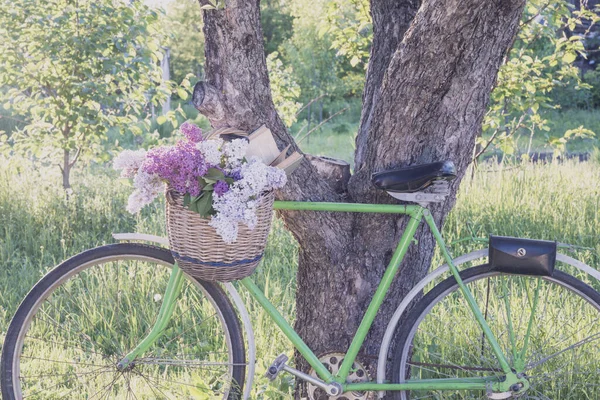 Bisikletle romantik bir hayat
