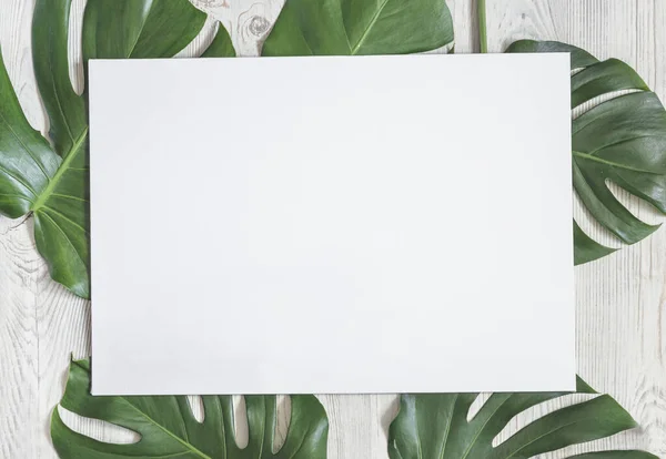 Ahşap arka planda canavar yaprakları olan doğal bir arka plan.