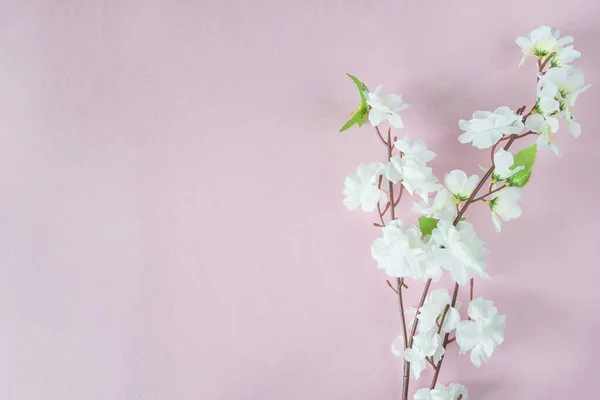 Çiçek açan kirazın yapay dalı ve pembe üzerine beyaz çiçekler. 