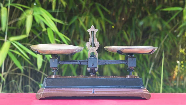 Antique balance scales in front of the green bamboo forest