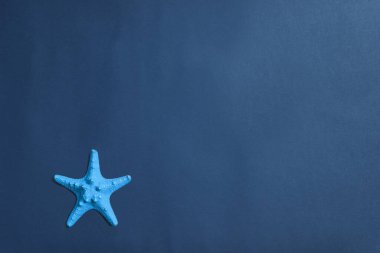 Güzel deniz gezileri arka planı. Mavi arka planda mavi denizyıldızı