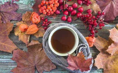 Sonbahar kompozisyonu. Bir fincan çay, yün atkı, kırmızı böğürtlen ve akçaağaç yaprağı.
