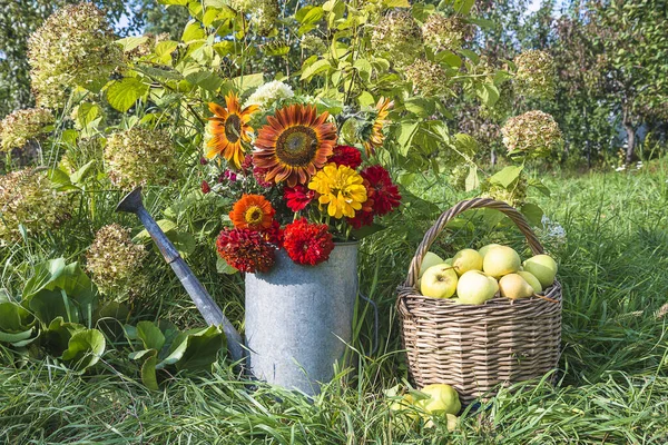 Composizione Giardinaggio Estivo Mazzo Zinnia Rossa Girasoli Vecchio Annaffiatoio Cesto — Foto Stock