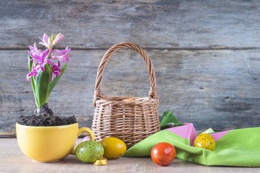 Paskalya ve bahar hala hayat. Sarı fincanda mor sümbül çiçeği ve paskalya yumurtası.