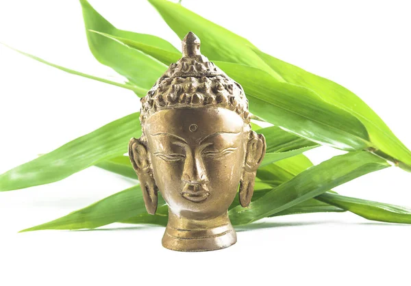 Buddha Metallic Head Green Bamboo Leaves White Background — Stock Photo, Image