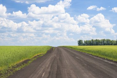 Güneşli yaz gününde tarımsal tarlalarda kırsal yol