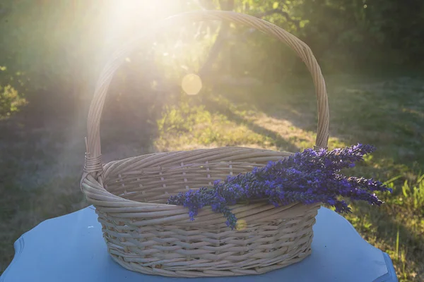 Panier Osier Avec Bouquet Lavande Sur Table Contre Les Rayons — Photo