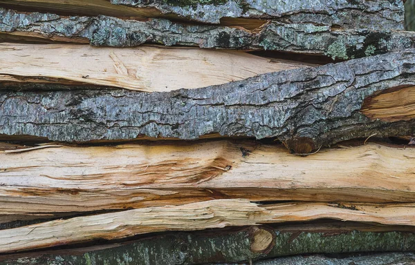 薪の山の自然背景 — ストック写真