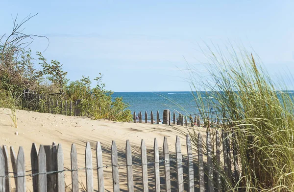 Koncepcja Wakacji Dzika Piaszczysta Plaża Oceanie Atlantyckim Słoneczny Dzień — Zdjęcie stockowe