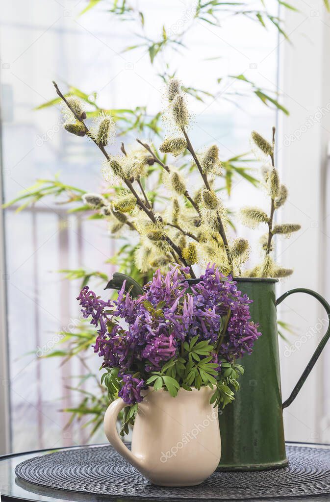 Spring still life with bouquet of corydalis flowers and willow in vintage jugs