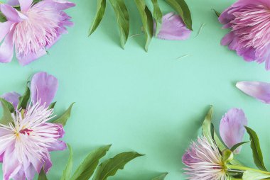 Yapraklı pembe şakayık desenli güzel çiçek arkaplanı.