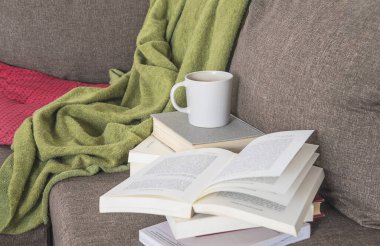 Ev kavramında hapsolma. Bir sürü kitap, kupa, kahverengi kanepede ekose.