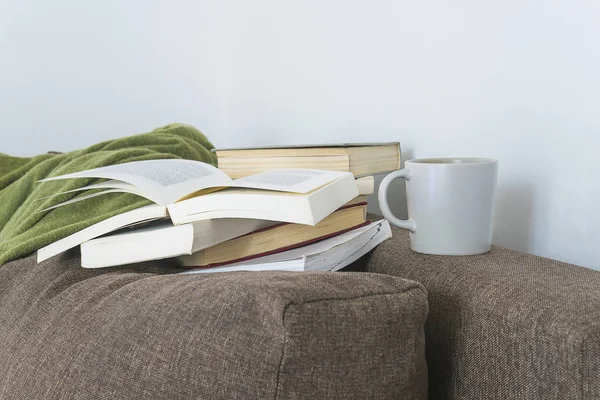 Boş zaman aktiviteleri. Bir sürü kitap, bir kupa kahve ya da kahverengi kanepe.