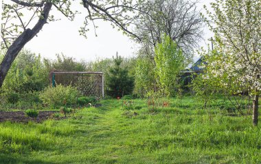 Güneşli bir günde bahar bahçesi