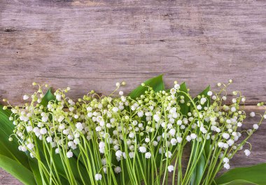 Bahar tebrik kartı. Eski ahşap arka planda vadideki zambaklar.