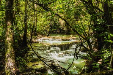 Huay Mae Kamin şelale, Srinakarin Barajı Milli Parkı - Huay Mae Kamin şelale, derin ormandaki güzel şelale. Kanchanaburi, Tayland