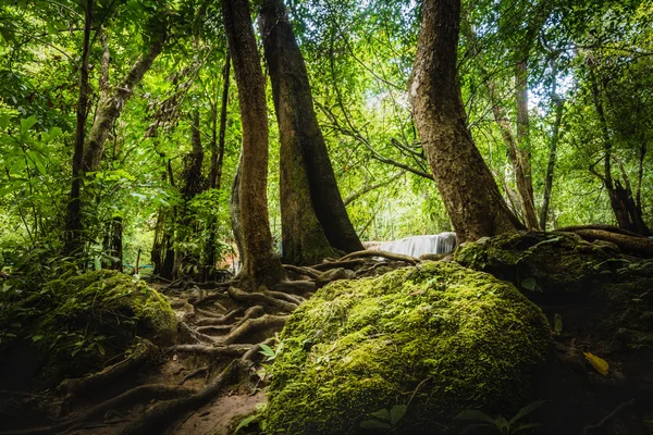 Huay Mae Kamin şelale, Srinakarin Barajı Milli Parkı - Huay Mae Kamin şelale, derin ormandaki güzel şelale. Kanchanaburi, Tayland