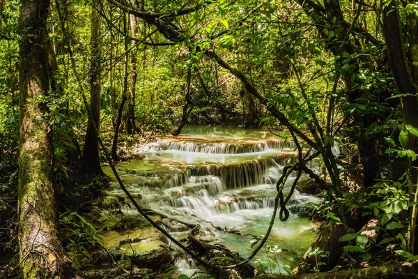 Huay Mae Kamin şelale, Srinakarin Barajı Milli Parkı - Huay Mae Kamin şelale, derin ormandaki güzel şelale. Kanchanaburi, Tayland