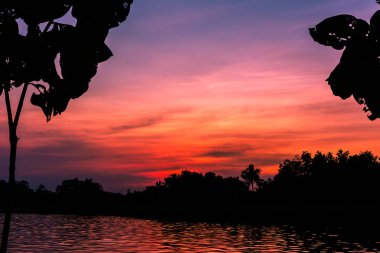 Siluetleri, gün batımlarını River's Edge.