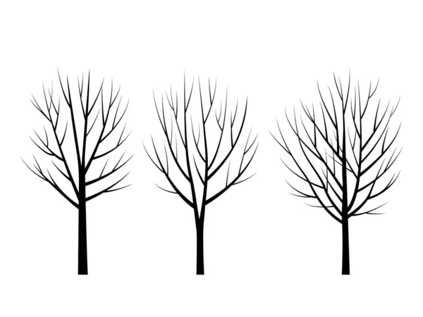 Set Bomen zonder bladeren hiëroglief pictogram. zwart silhouet van winterbomen met takken. vlakke vectorillustratie. — Stockvector
