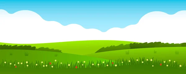 Hermoso paisaje de verano de campos y céspedes con hierba verde y flores silvestres . — Vector de stock