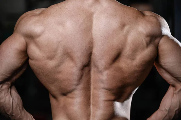 Back muscle mans back fitness and bodybuilding — Stock Photo, Image