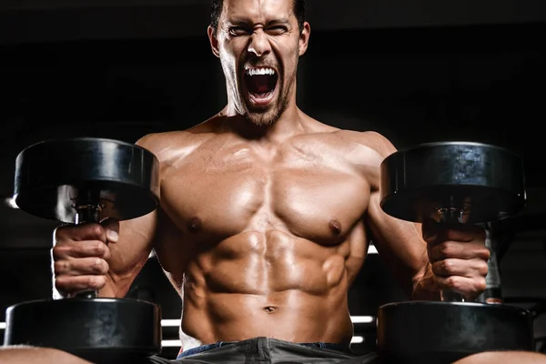 Caucasian sexy fitness male model execute exercise with dumbbell — Stock Photo, Image