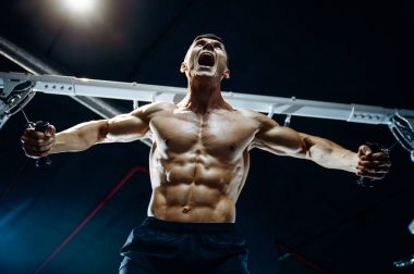 Acımasız beyaz vücut geliştirmeci eğitim sandık içinde jimnastik salonu