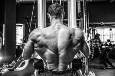 Spor salonunda yakışıklı bir genç adam antrenmanı.