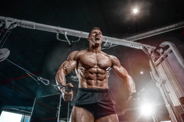 Acımasız beyaz vücut geliştirmeci eğitim sandık içinde jimnastik salonu