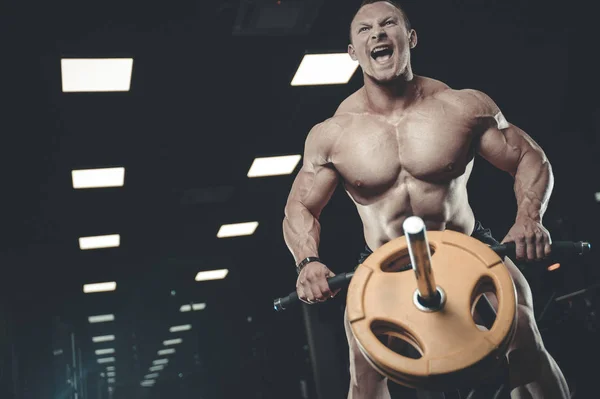 Guapo modelo joven entrenamiento de nuevo en el gimnasio —  Fotos de Stock