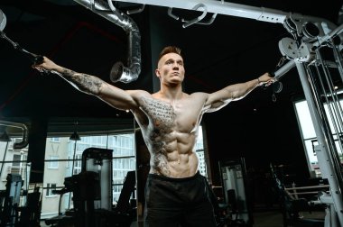 Acımasız beyaz vücut geliştirmeci eğitim sandık içinde jimnastik salonu