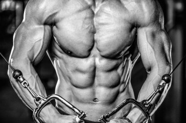 Acımasız beyaz vücut geliştirmeci eğitim sandık içinde jimnastik salonu