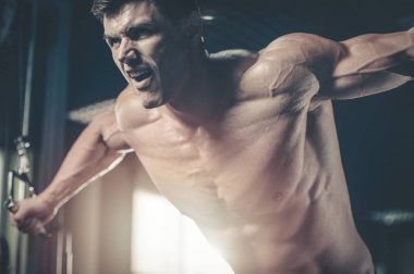 Acımasız beyaz vücut geliştirmeci eğitim sandık içinde jimnastik salonu