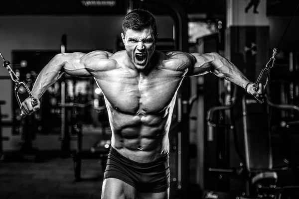 Acımasız beyaz vücut geliştirmeci eğitim sandık içinde jimnastik salonu