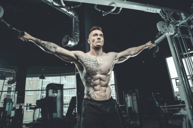 Acımasız beyaz vücut geliştirmeci eğitim sandık içinde jimnastik salonu